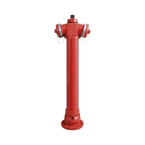 HIDRANT SUPRAFATA VALWater WT PN10/PN16 DN80 Hinghet=1250