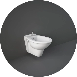 KR08AWHA-BIDEU SUSPENDAT KARLA RAK