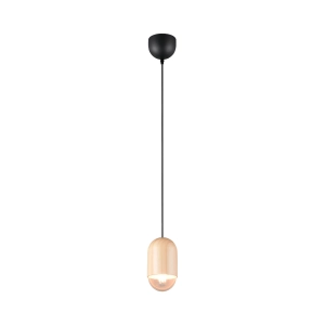 PENDUL NARA 1X E27 (EXCL.) | R36311030