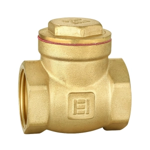 SUPAPA DE SENS CU CLAPETA 2'' (3)