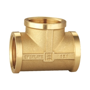 TEU ALAMA 1 1/2 (1/24)