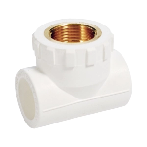 TEU PPR 25X3/4 F VAL (5/60)